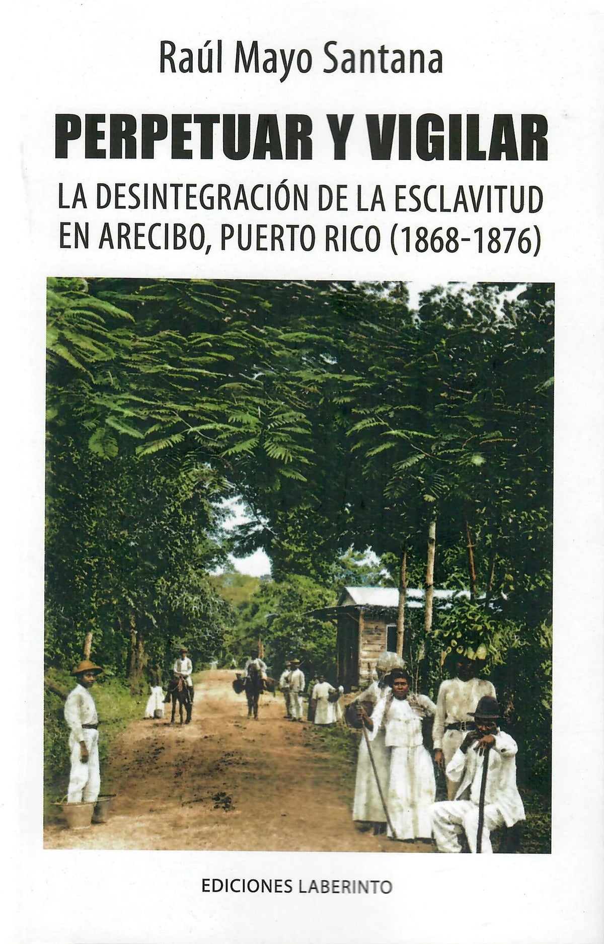Perpetuar y vigilar: La desintegración de la esclavitud en Arecibo, Puerto Rico (1868-1876)