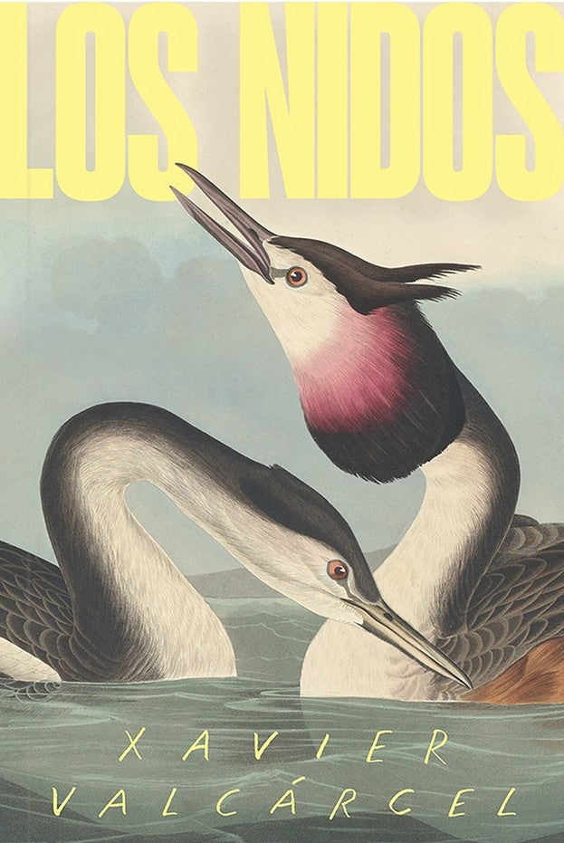 Los nidos