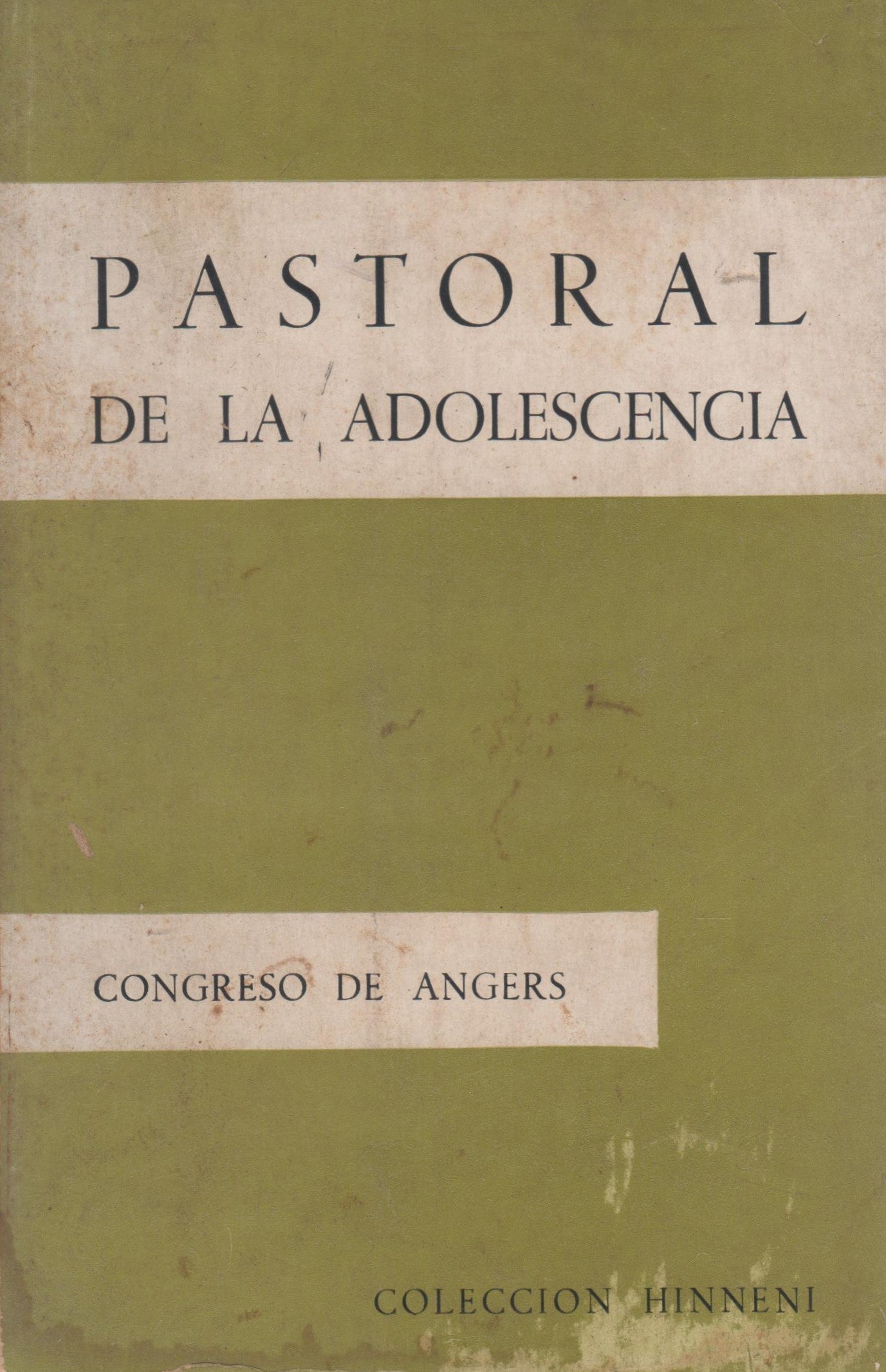 Pastoral de la adolescencia