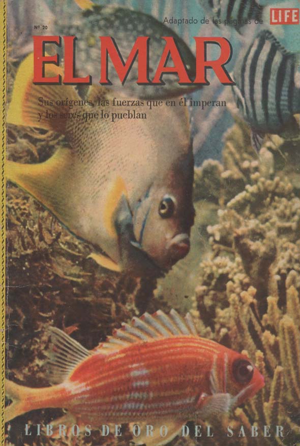 El mar: Sus orígenes, las fuerzas que en él imperan y los seres que lo pueblan