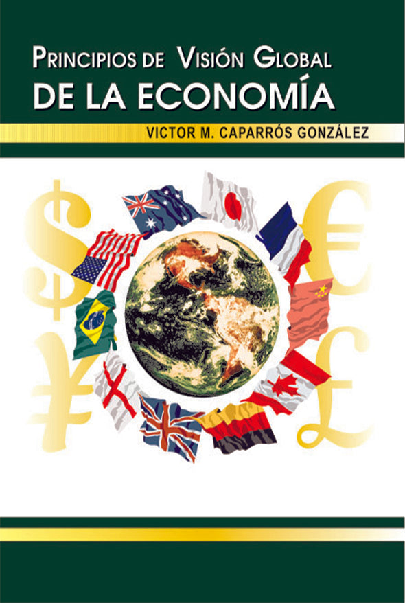 Principios de visión global de la economía
