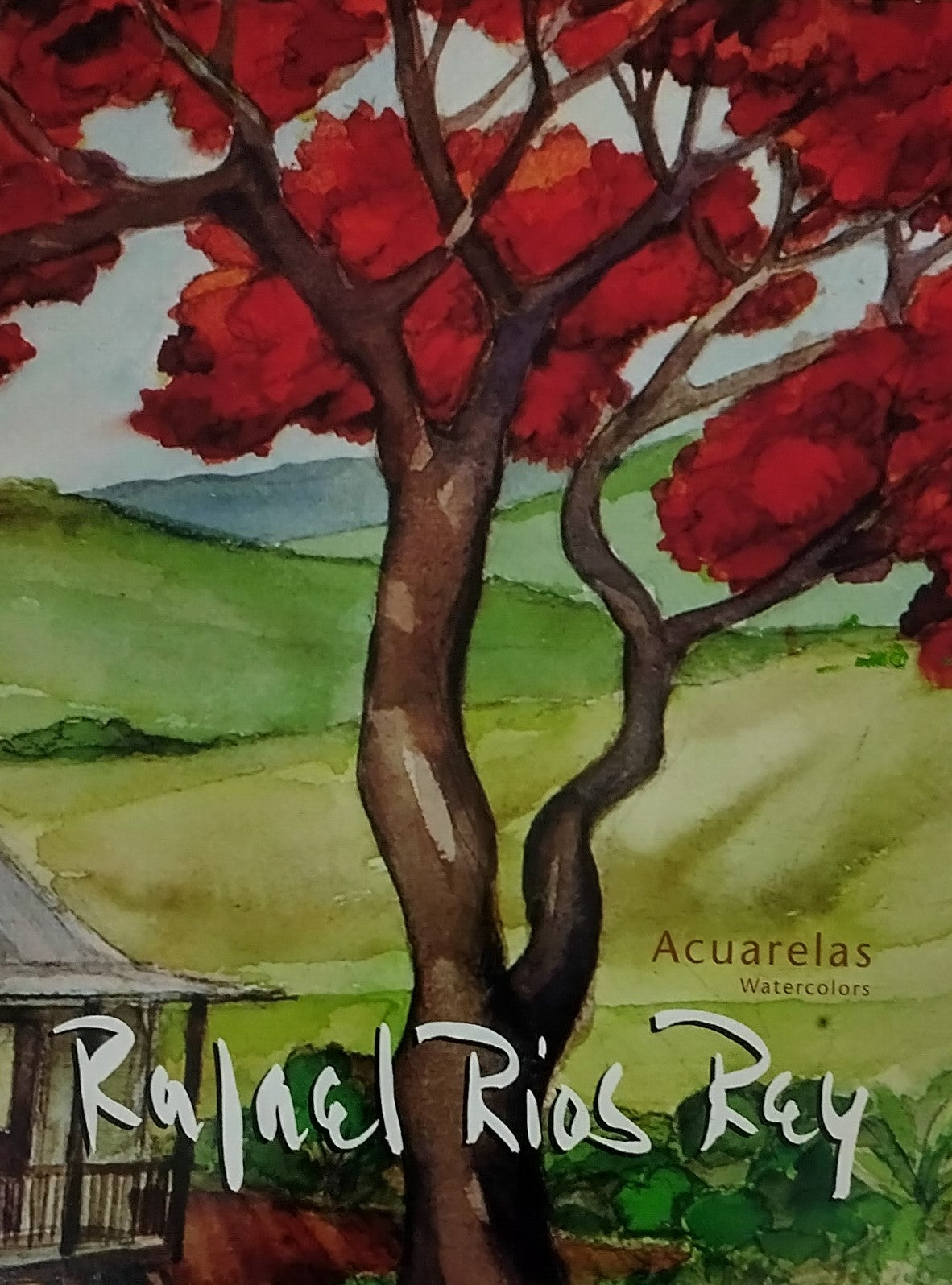 Acuarelas/Watercolors