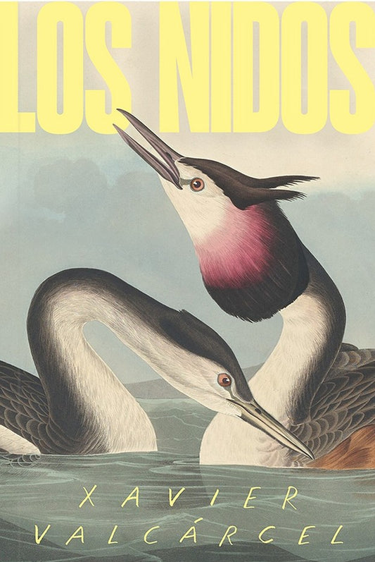 Los nidos