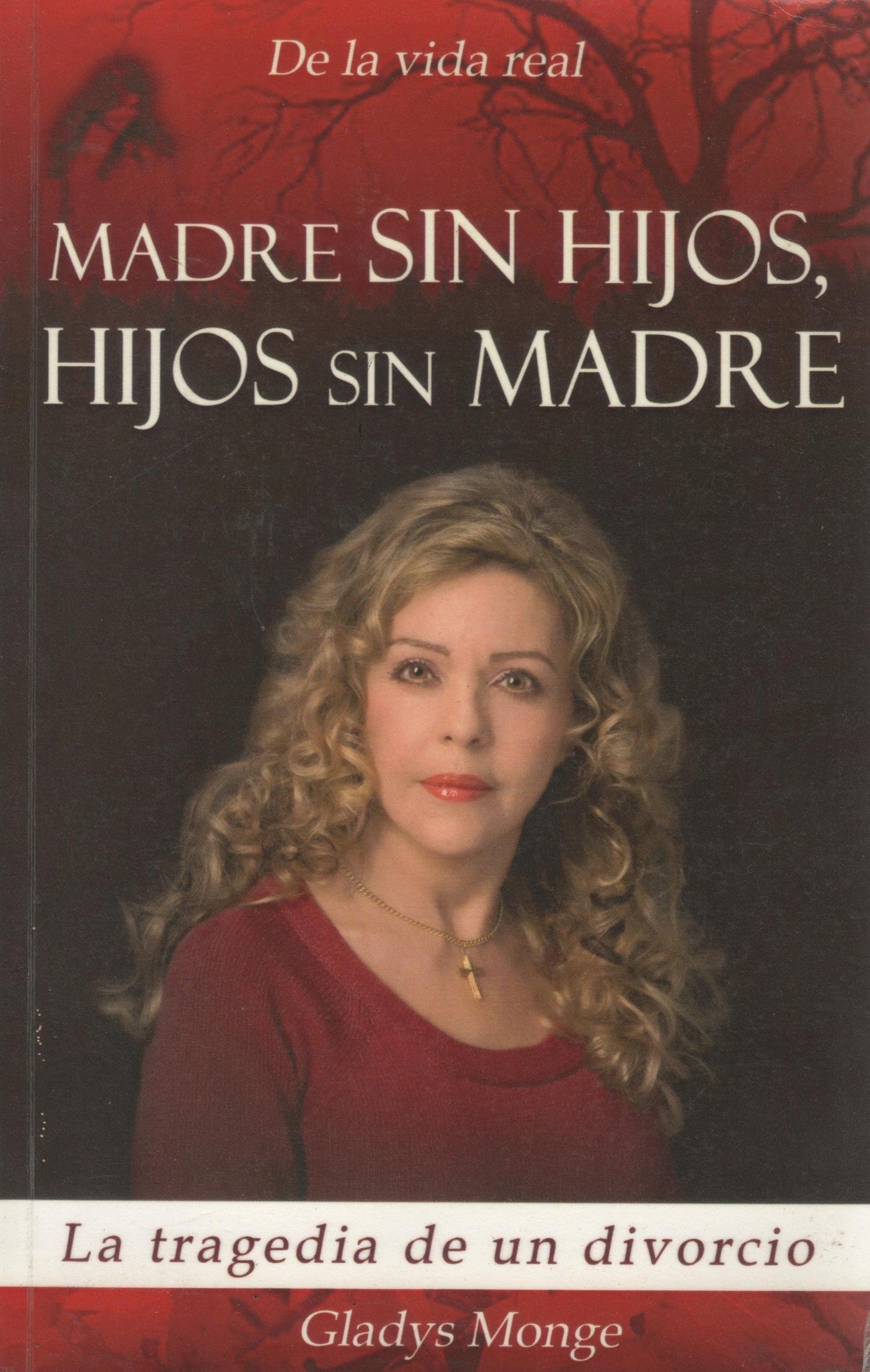 Madre sin hijos, hijos sin madre: La tragedia de un divorcio