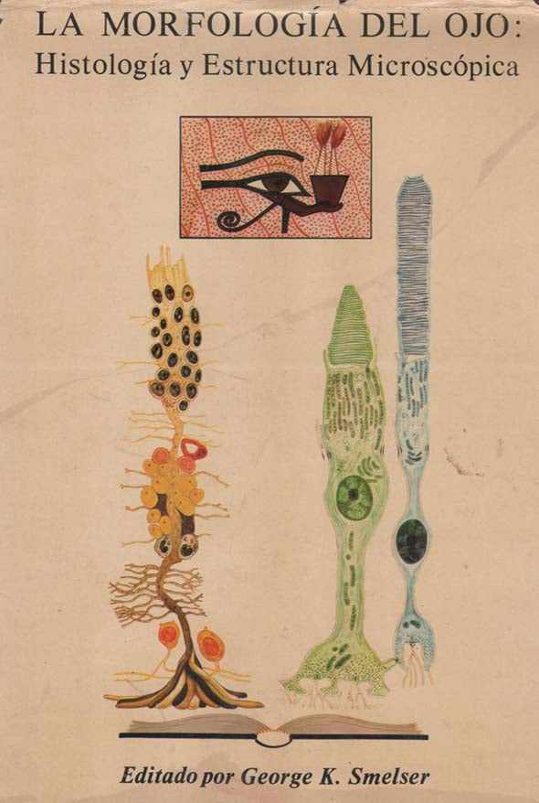 La morfología del ojo: Histología y estructura microscópica