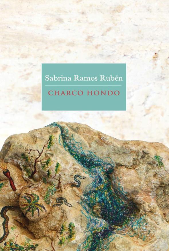Charco hondo