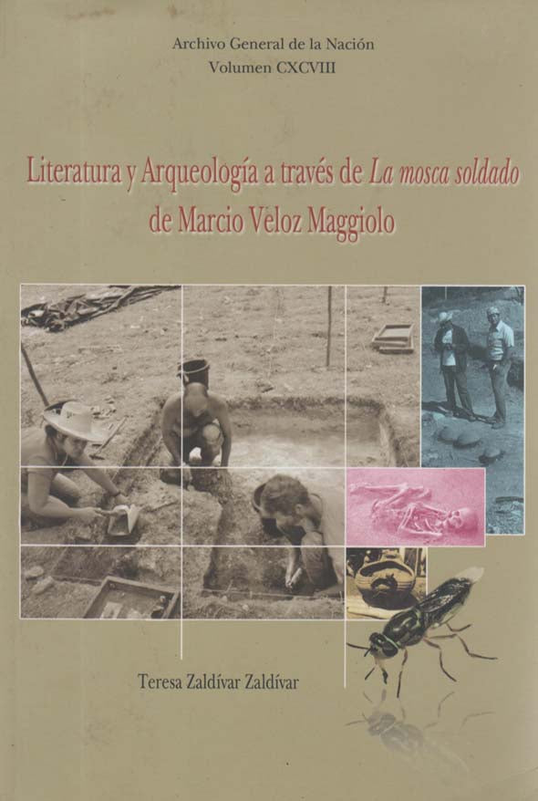 Literatura y arqueología a través de La mosca soldado de Marcio Veloz Maggiolo