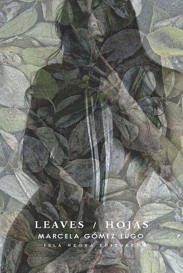 Leaves/Hojas
