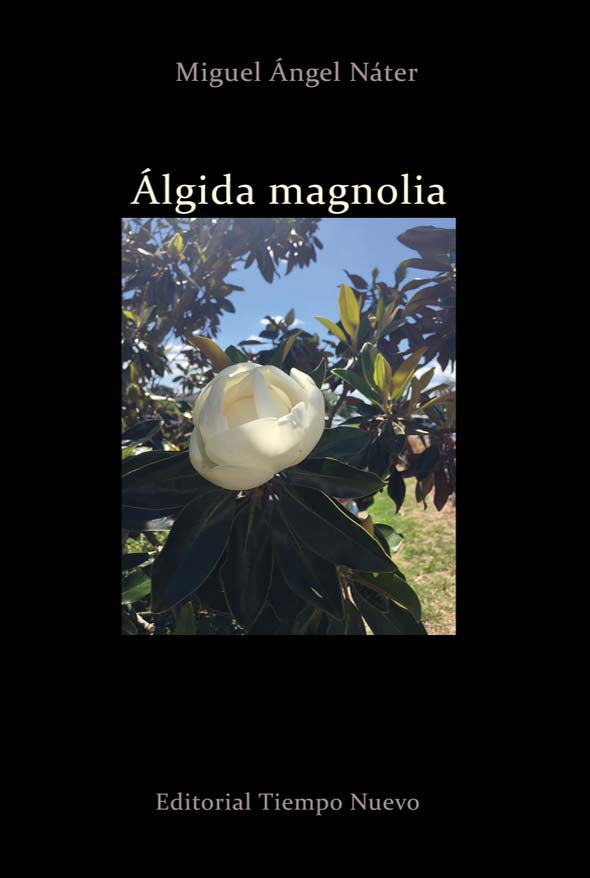 Álgida magnolia
